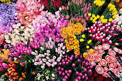 《上古卷轴4：湮灭重制版》更新1.2被证实未修复性能问题